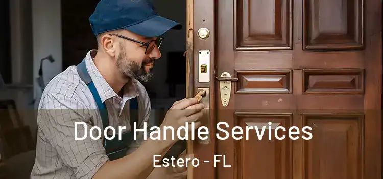 Door Handle Services Estero - FL