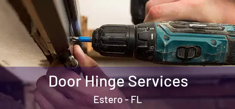 Door Hinge Services Estero - FL