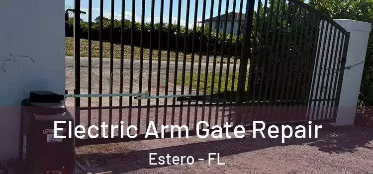 Electric Arm Gate Repair Estero - FL