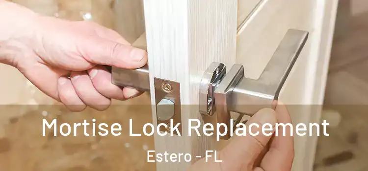Mortise Lock Replacement Estero - FL